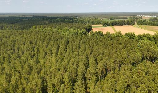 Photo #22 of Off Barbee Rd, Richlands , NC 97.0 acres