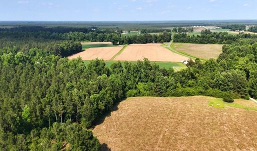 Photo #23 of Off Barbee Rd, Richlands , NC 97.0 acres