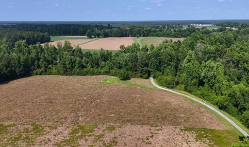 Photo #24 of Off Barbee Rd, Richlands , NC 97.0 acres