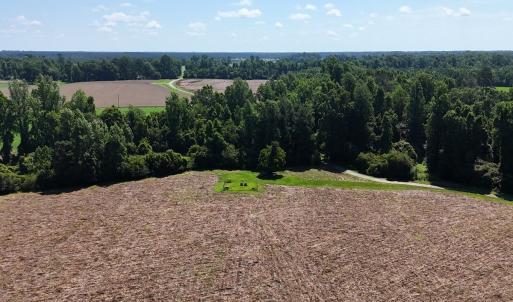 Photo #27 of Off Barbee Rd, Richlands , NC 97.0 acres