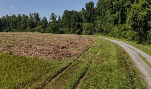 Photo #31 of Off Barbee Rd, Richlands , NC 97.0 acres