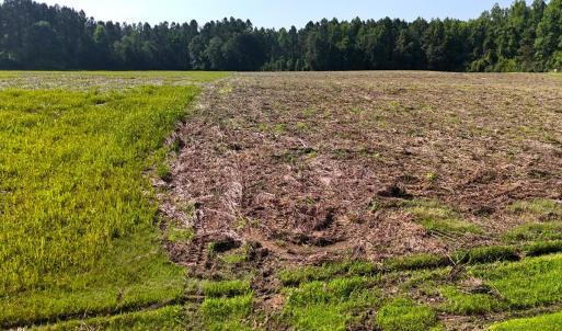 Photo #32 of Off Barbee Rd, Richlands , NC 97.0 acres