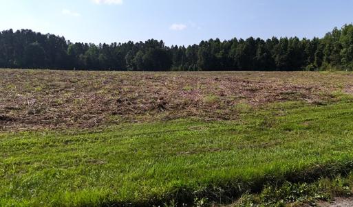 Photo #33 of Off Barbee Rd, Richlands , NC 97.0 acres
