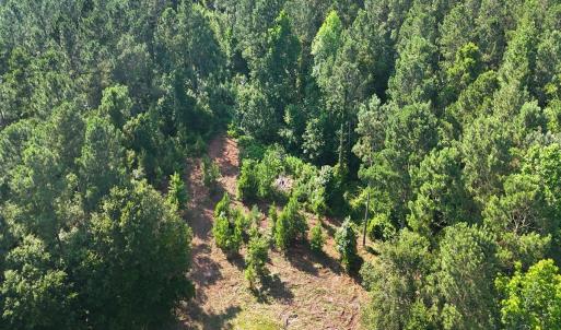 Photo #36 of Off Barbee Rd, Richlands , NC 97.0 acres