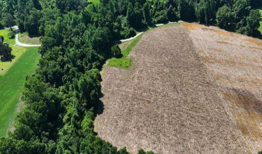 Photo #39 of Off Barbee Rd, Richlands , NC 97.0 acres