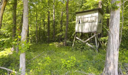 Photo #75 of 390 Line Creek Farm Road, Yanceyville, NC 123.1 acres