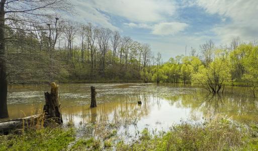 Photo #78 of 390 Line Creek Farm Road, Yanceyville, NC 123.1 acres
