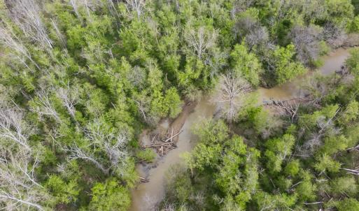 Photo #84 of 390 Line Creek Farm Road, Yanceyville, NC 123.1 acres