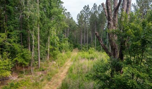 Photo #10 of Off Chip Road, Mount Gilead, NC 76.1 acres