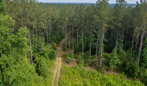 Photo #11 of Off Chip Road, Mount Gilead, NC 76.1 acres