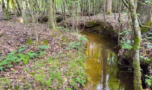 Photo #13 of Off Chip Road, Mount Gilead, NC 76.1 acres