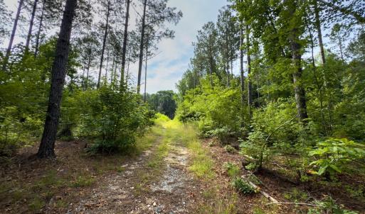 Photo #14 of Off Chip Road, Mount Gilead, NC 76.1 acres