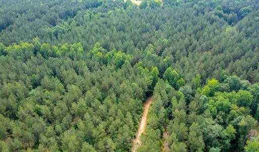 Photo #15 of Off Chip Road, Mount Gilead, NC 76.1 acres
