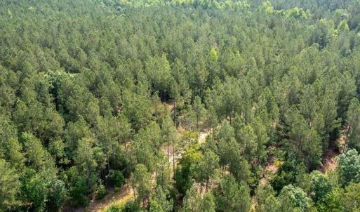 Photo #16 of Off Chip Road, Mount Gilead, NC 76.1 acres