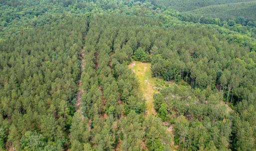 Photo #1 of Off Chip Road, Mount Gilead, NC 76.1 acres