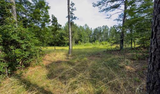 Photo #2 of Off Chip Road, Mount Gilead, NC 76.1 acres