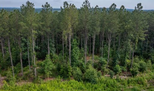 Photo #20 of Off Chip Road, Mount Gilead, NC 76.1 acres