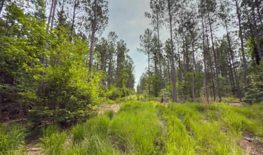 Photo #21 of Off Chip Road, Mount Gilead, NC 76.1 acres