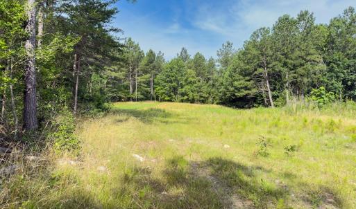 Photo #22 of Off Chip Road, Mount Gilead, NC 76.1 acres