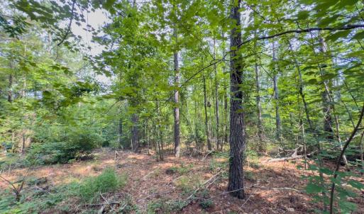 Photo #25 of Off Chip Road, Mount Gilead, NC 76.1 acres