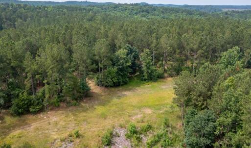 Photo #26 of Off Chip Road, Mount Gilead, NC 76.1 acres