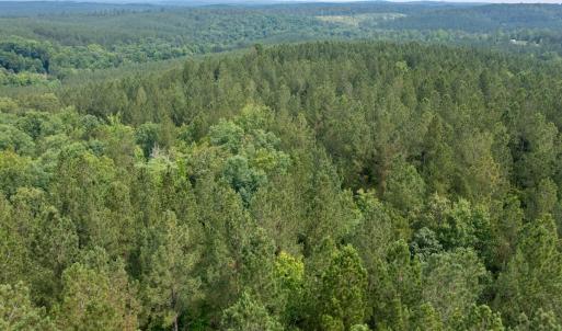 Photo #27 of Off Chip Road, Mount Gilead, NC 76.1 acres