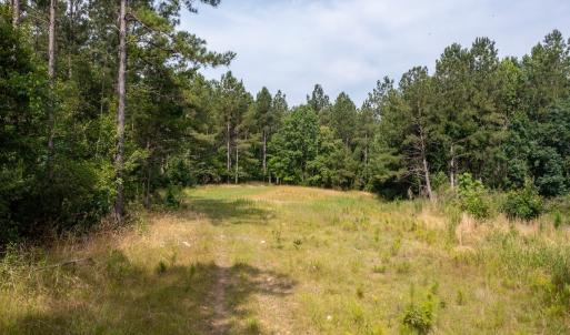 Photo #3 of Off Chip Road, Mount Gilead, NC 76.1 acres