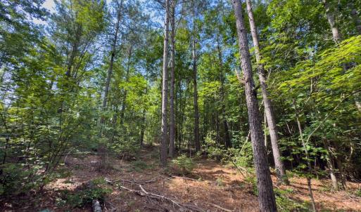 Photo #31 of Off Chip Road, Mount Gilead, NC 76.1 acres