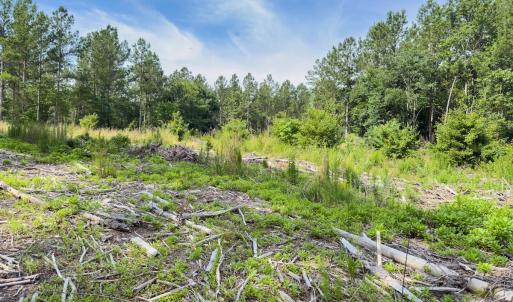 Photo #32 of Off Chip Road, Mount Gilead, NC 76.1 acres