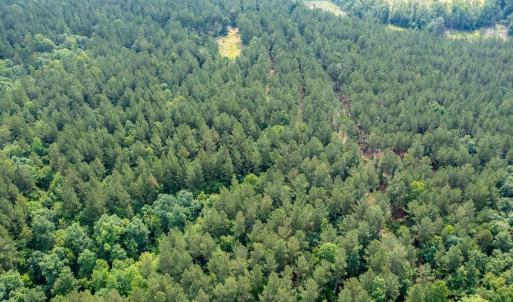 Photo #33 of Off Chip Road, Mount Gilead, NC 76.1 acres