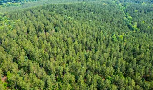 Photo #34 of Off Chip Road, Mount Gilead, NC 76.1 acres