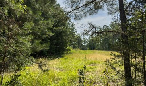Photo #35 of Off Chip Road, Mount Gilead, NC 76.1 acres