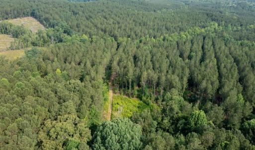Photo #36 of Off Chip Road, Mount Gilead, NC 76.1 acres