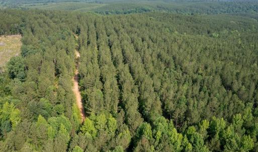 Photo #37 of Off Chip Road, Mount Gilead, NC 76.1 acres