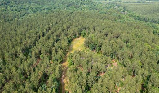 Photo #38 of Off Chip Road, Mount Gilead, NC 76.1 acres