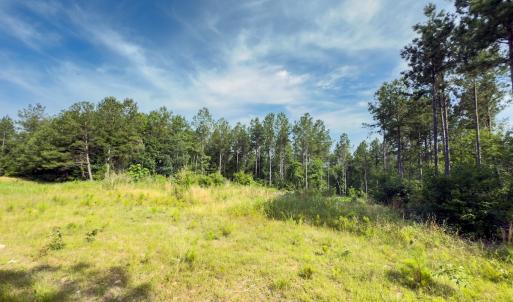 Photo #4 of Off Chip Road, Mount Gilead, NC 76.1 acres
