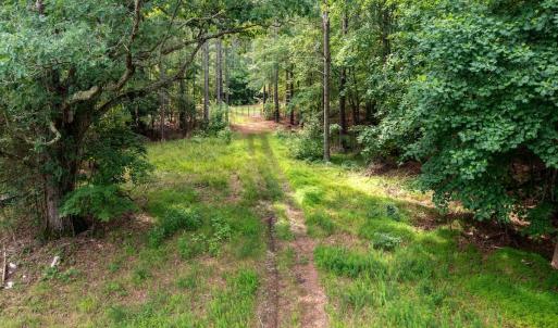 Photo #39 of Off Chip Road, Mount Gilead, NC 76.1 acres
