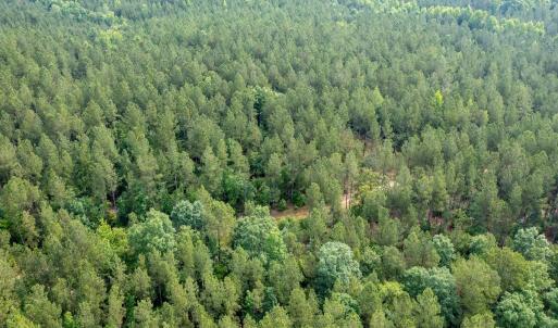 Photo #40 of Off Chip Road, Mount Gilead, NC 76.1 acres
