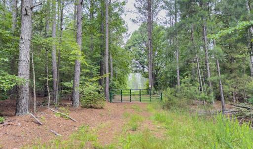 Photo #6 of Off Chip Road, Mount Gilead, NC 76.1 acres