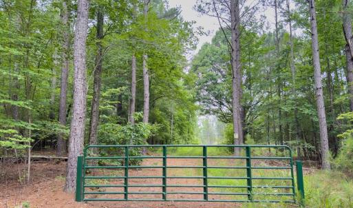 Photo #8 of Off Chip Road, Mount Gilead, NC 76.1 acres