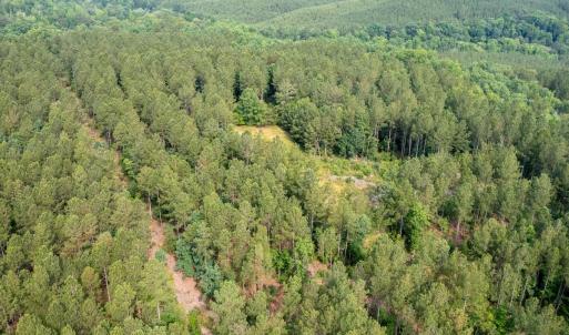 Photo #41 of Off Chip Road, Mount Gilead, NC 76.1 acres