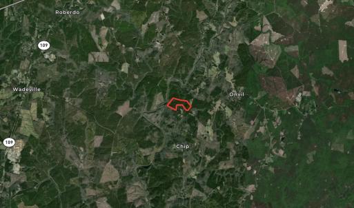 Photo #43 of Off Chip Road, Mount Gilead, NC 76.1 acres