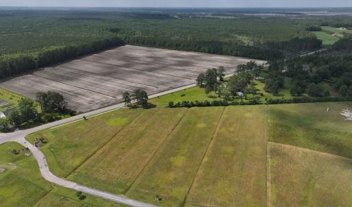 Photo #2 of Off Dallas Paul Road, Belhaven, NC 1.7 acres