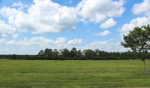 Photo #31 of Off Dallas Paul Road, Belhaven, NC 2.3 acres