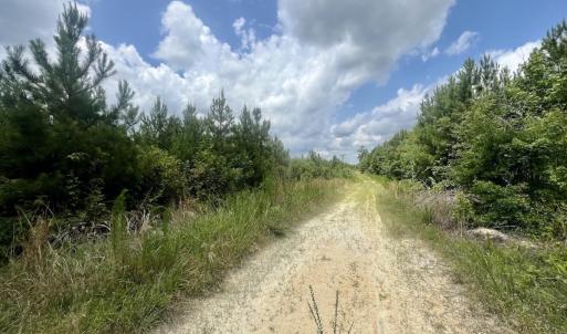 Photo #10 of Off Shields Commissary Road, Scotland Neck, NC 300.0 acres
