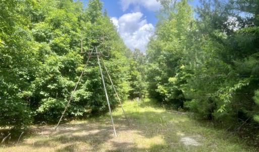 Photo #11 of Off Shields Commissary Road, Scotland Neck, NC 300.0 acres