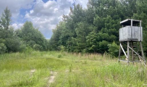 Photo #13 of Off Shields Commissary Road, Scotland Neck, NC 300.0 acres