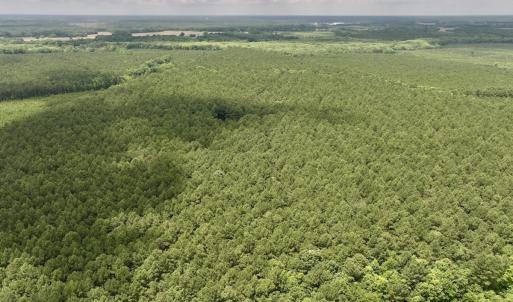 Photo #15 of Off Shields Commissary Road, Scotland Neck, NC 300.0 acres