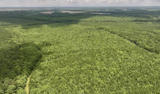 Photo #16 of Off Shields Commissary Road, Scotland Neck, NC 300.0 acres