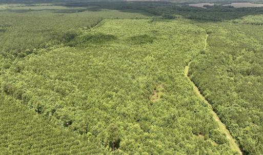 Photo #18 of Off Shields Commissary Road, Scotland Neck, NC 300.0 acres